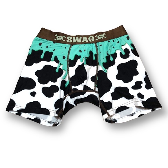 Swag Underwear & Socks Swag Fun Undies Mint Chip Delight Mens Boxer